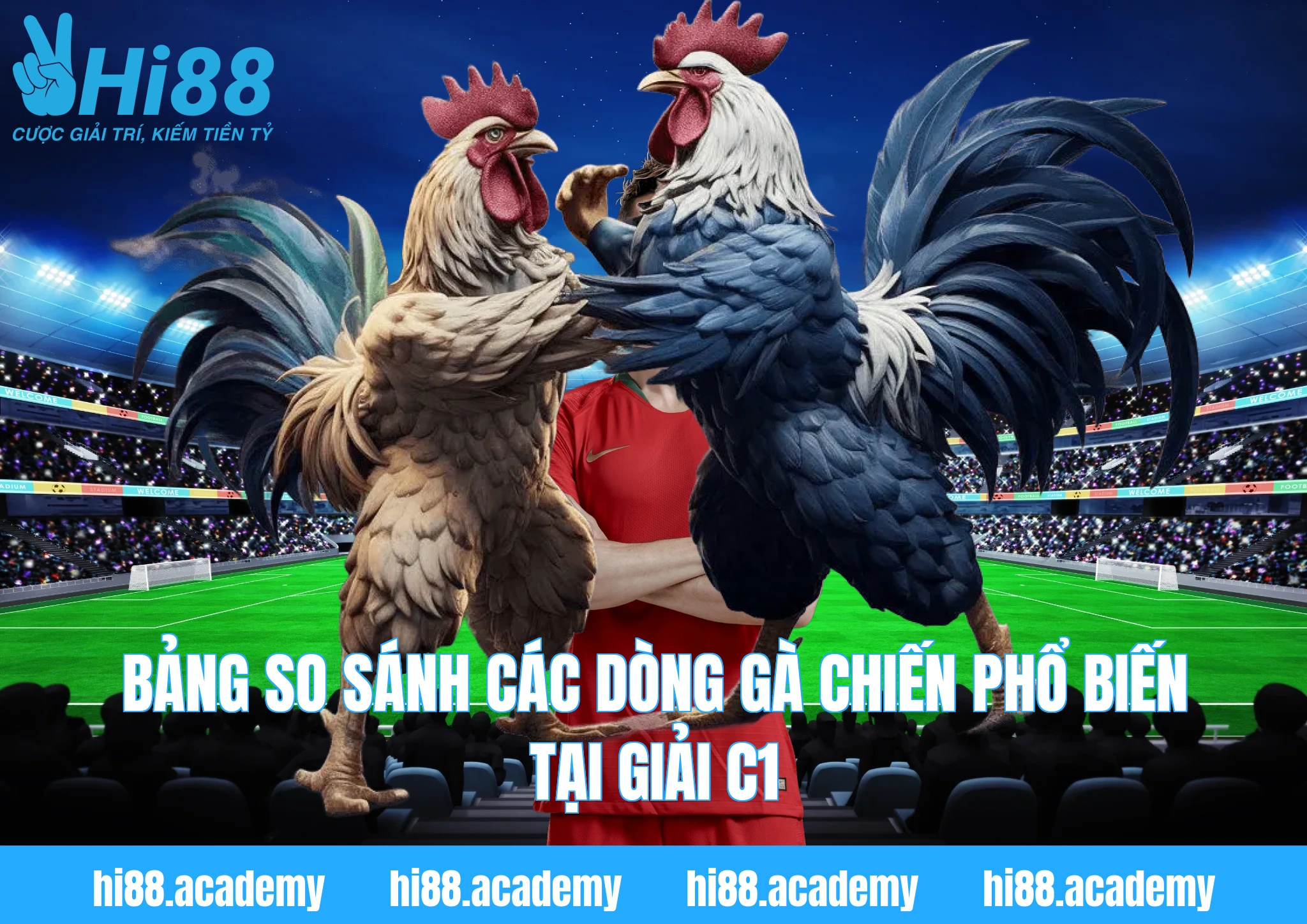 Bảng so sánh các dòng gà chiến phổ biến tại giải C1
