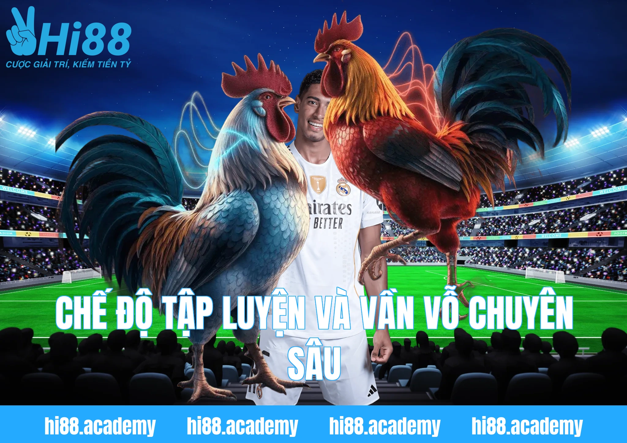 Chế độ tập luyện và vần vỗ chuyên sâu