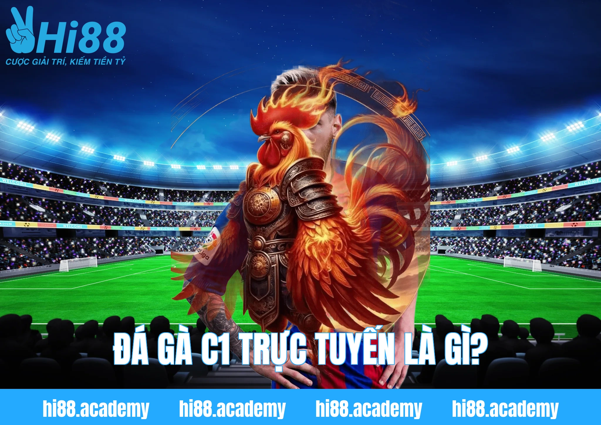 Đá gà C1 trực tuyến là gì?