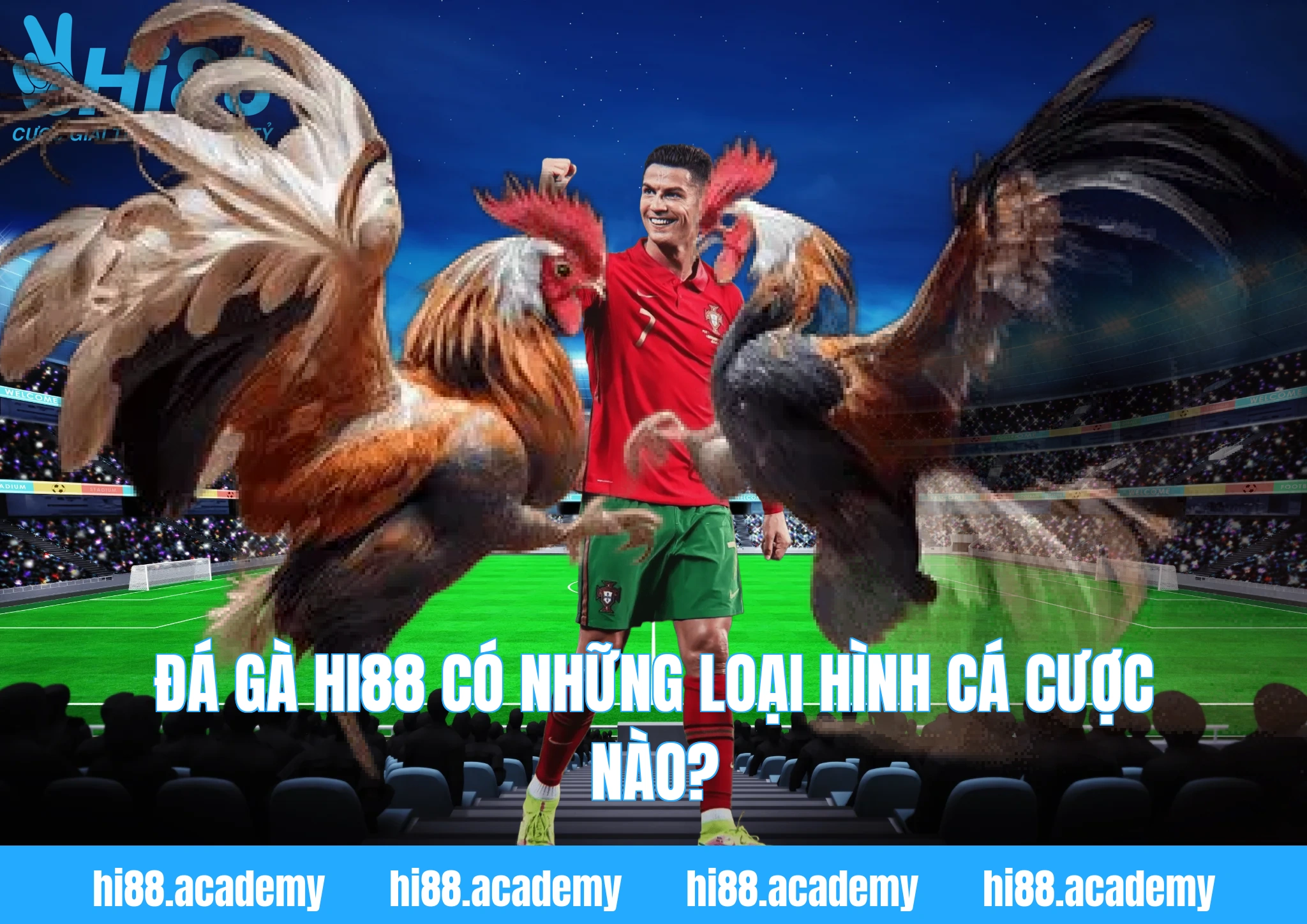 Đá gà Hi88 có những loại hình cá cược nào?