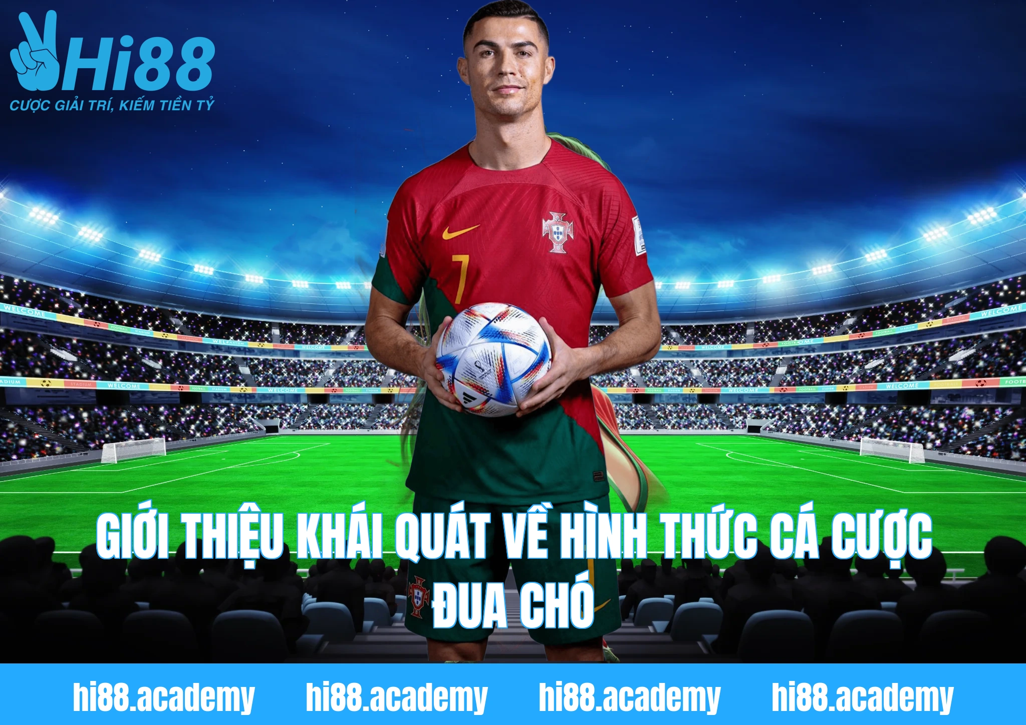 Giới thiệu khái quát về hình thức cá cược đua chó