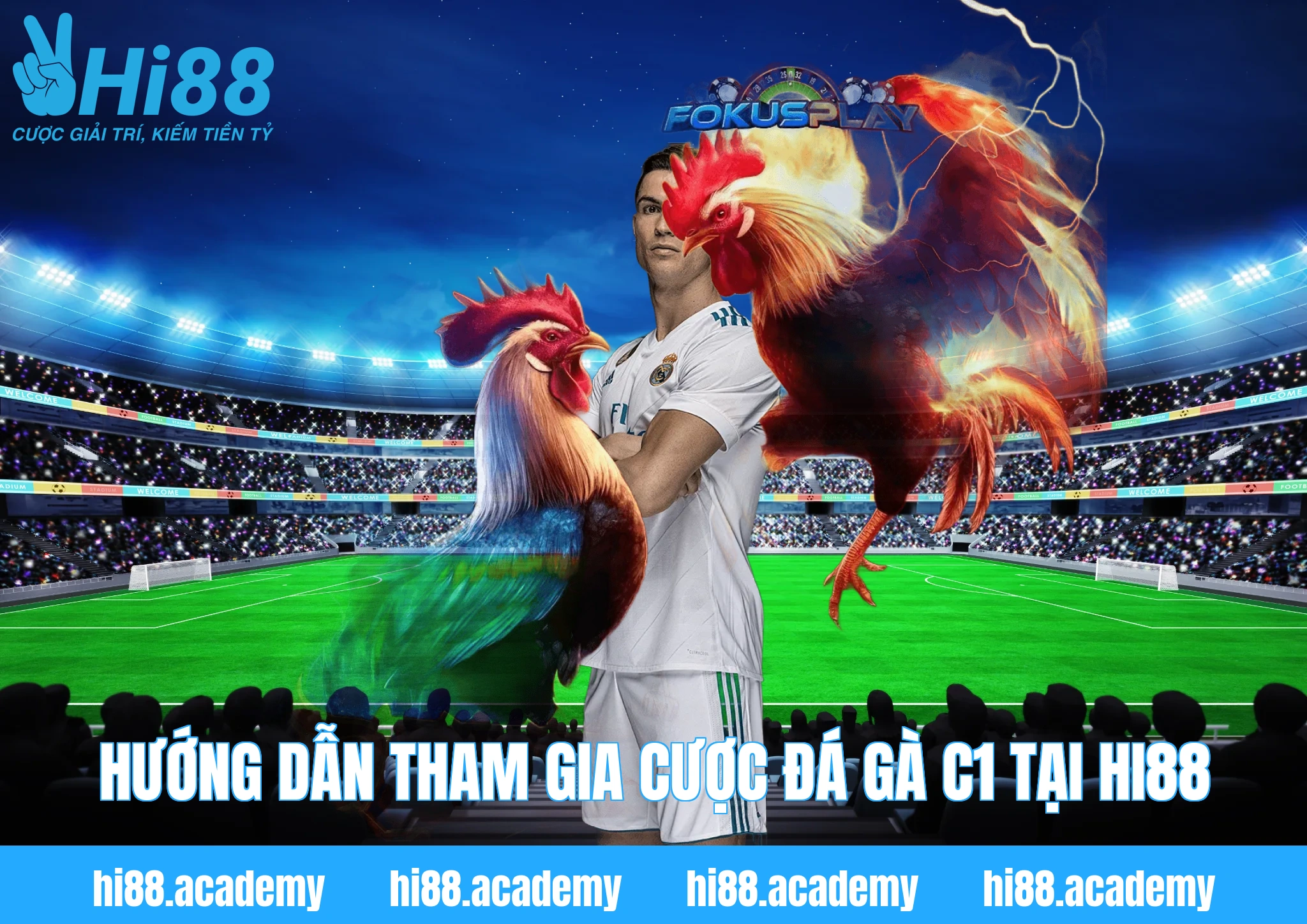 Hướng dẫn tham gia cược Đá gà C1 tại HI88