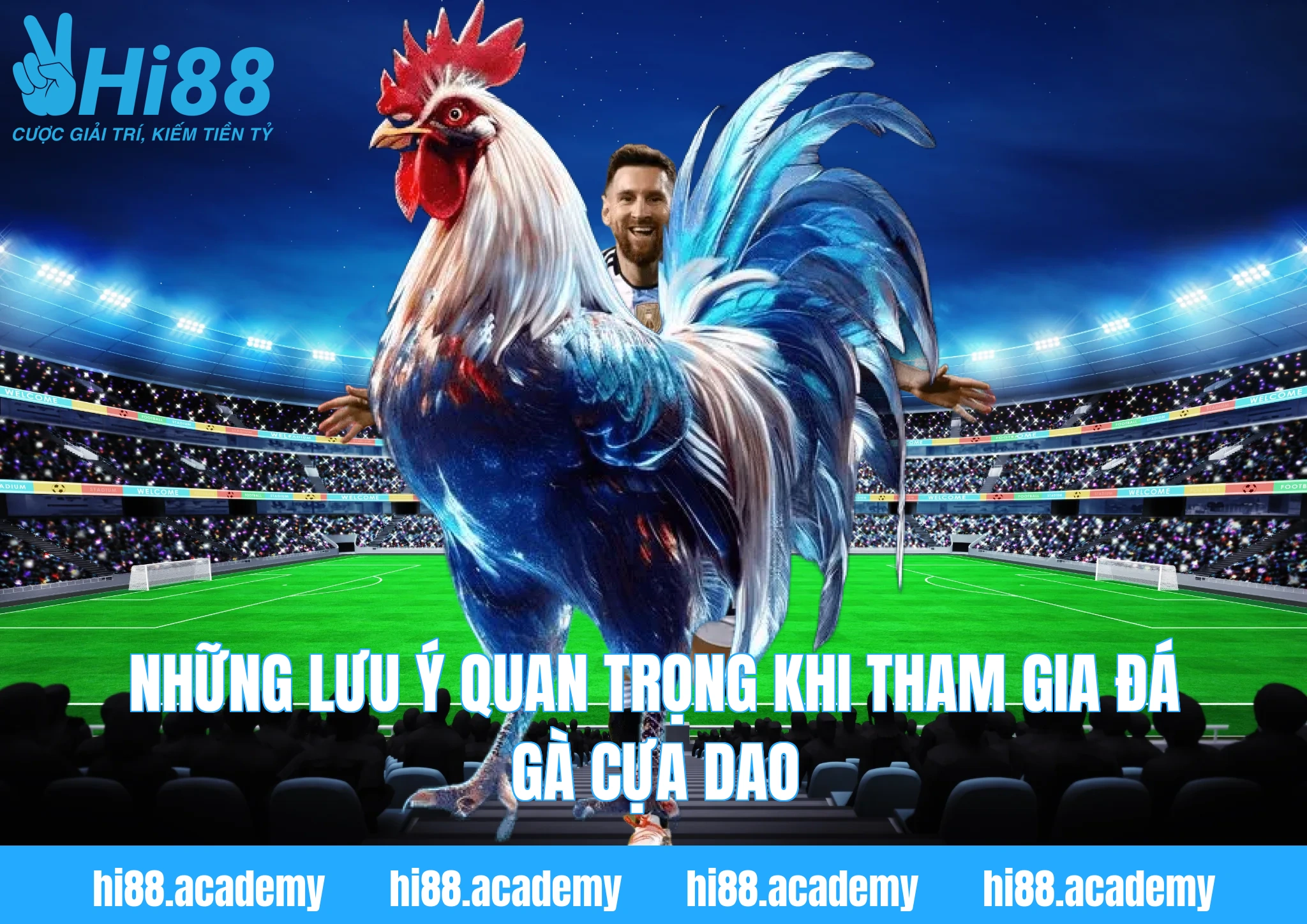Những lưu ý quan trọng khi tham gia đá gà cựa dao