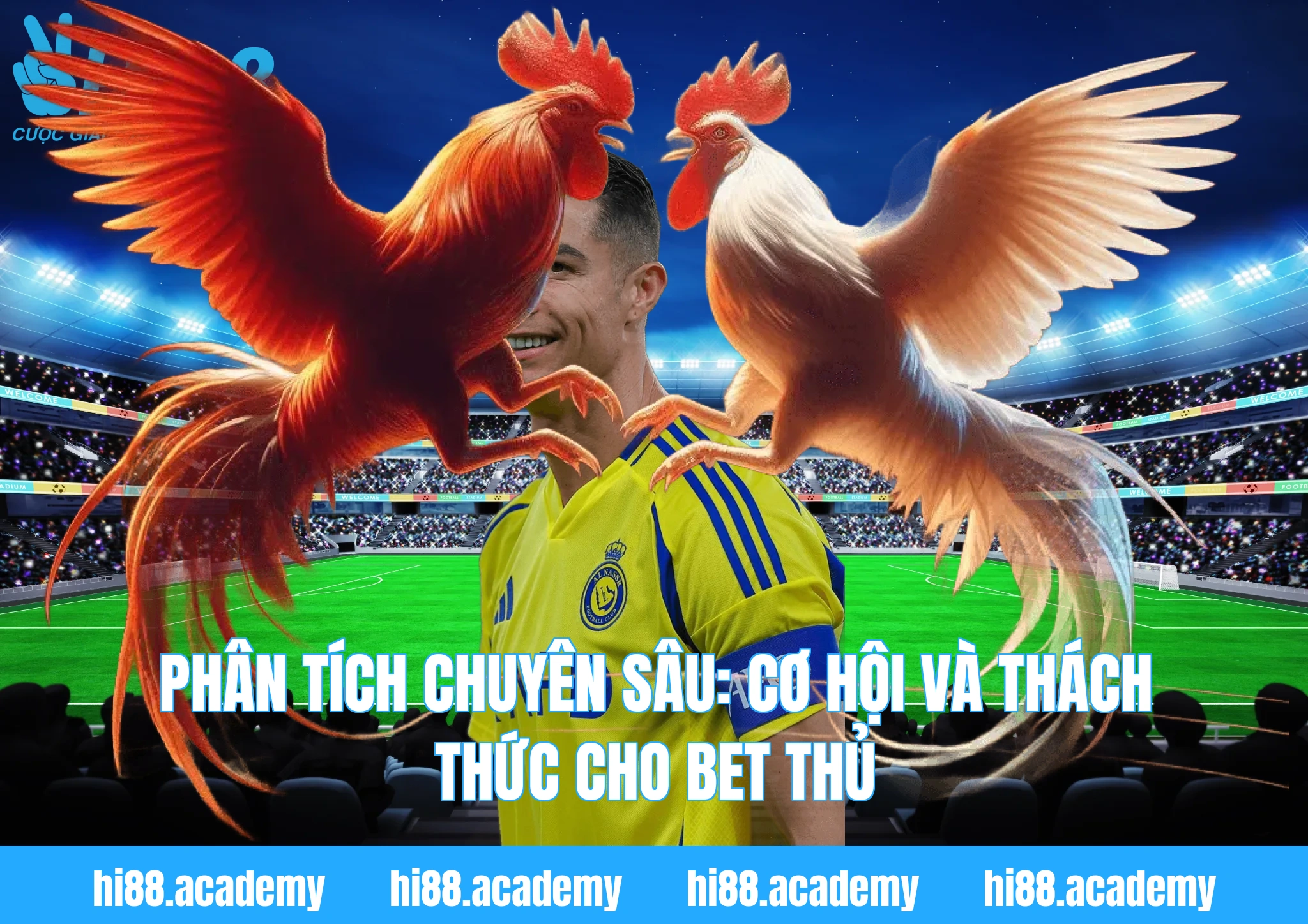 Phân tích chuyên sâu: Cơ hội và thách thức cho Bet thủ