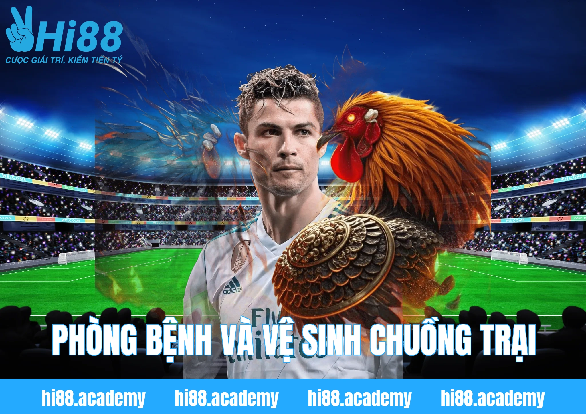 Phòng bệnh và vệ sinh chuồng trại