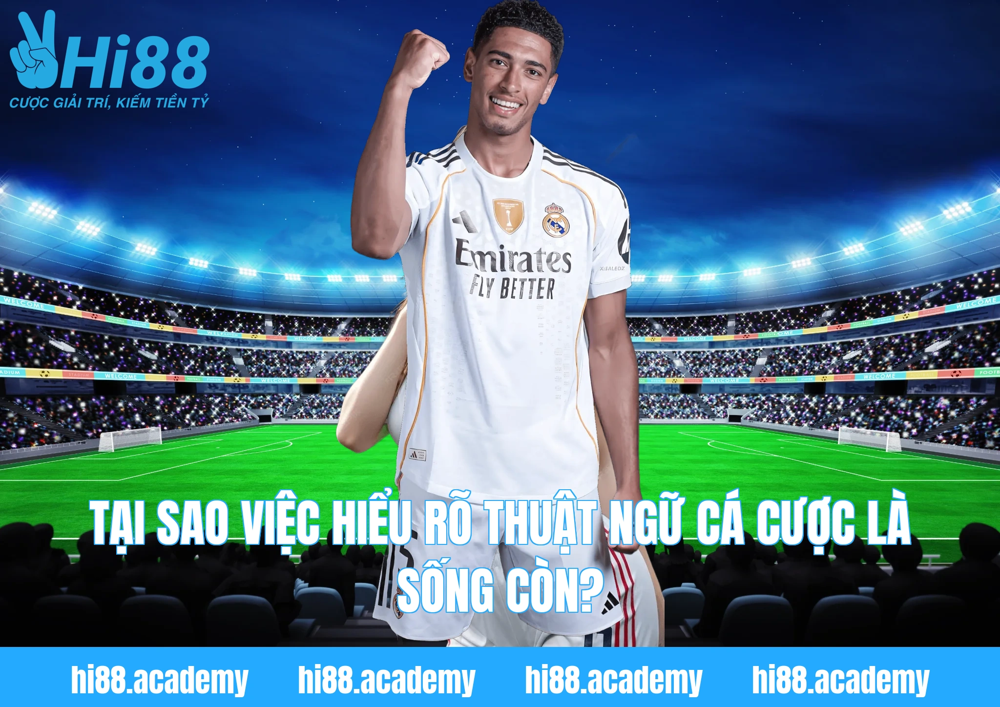 Tại sao việc hiểu rõ thuật ngữ cá cược là sống còn?