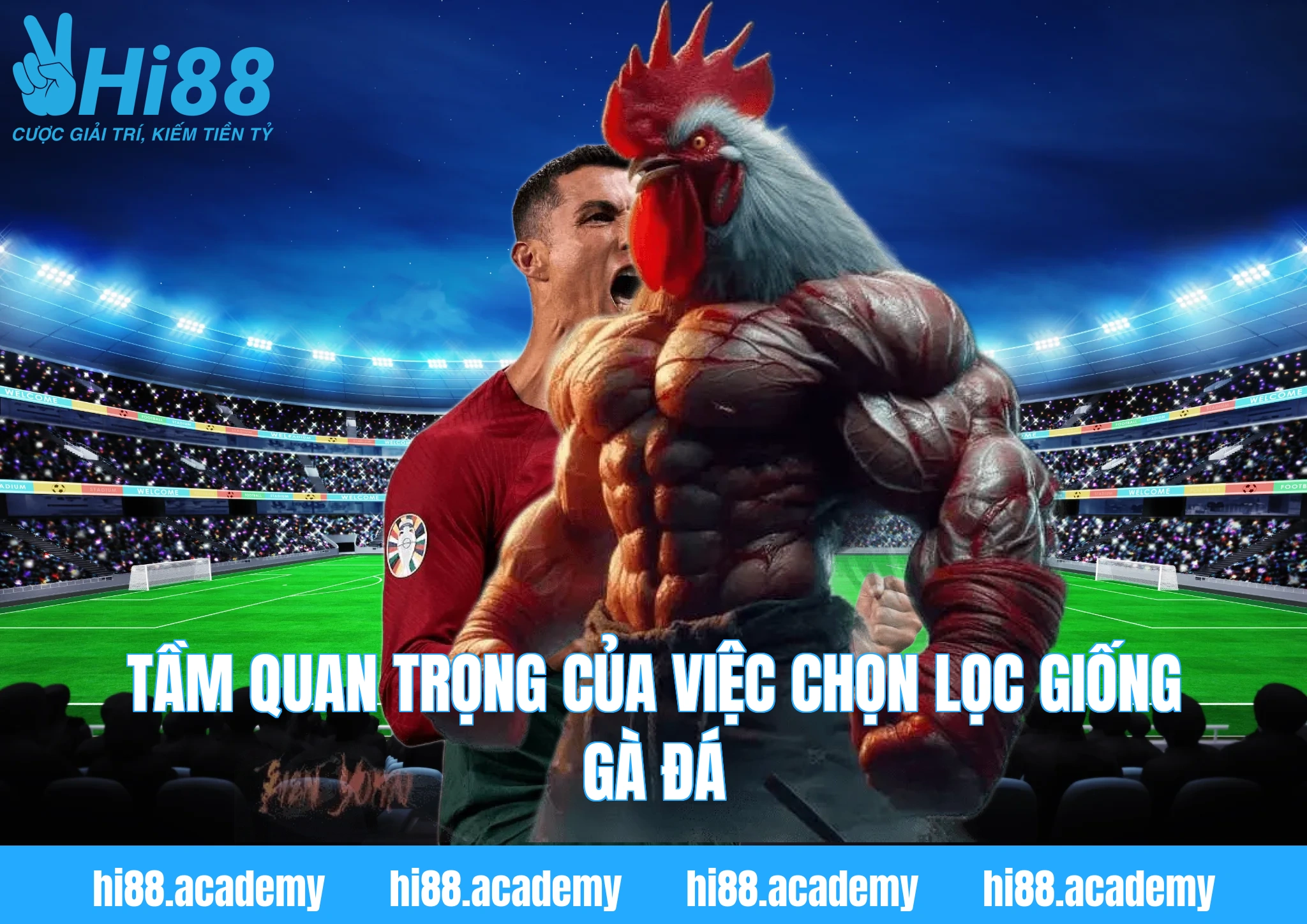 Tầm quan trọng của việc chọn lọc giống gà đá