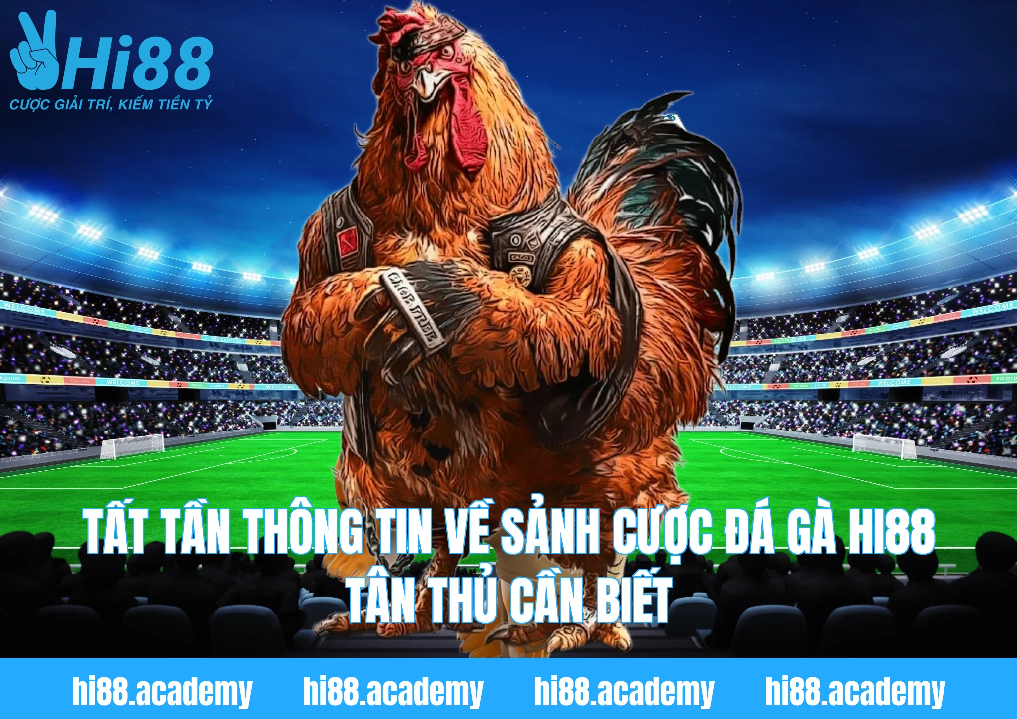 Tất tần thông tin về sảnh cược đá gà Hi88 tân thủ cần biết