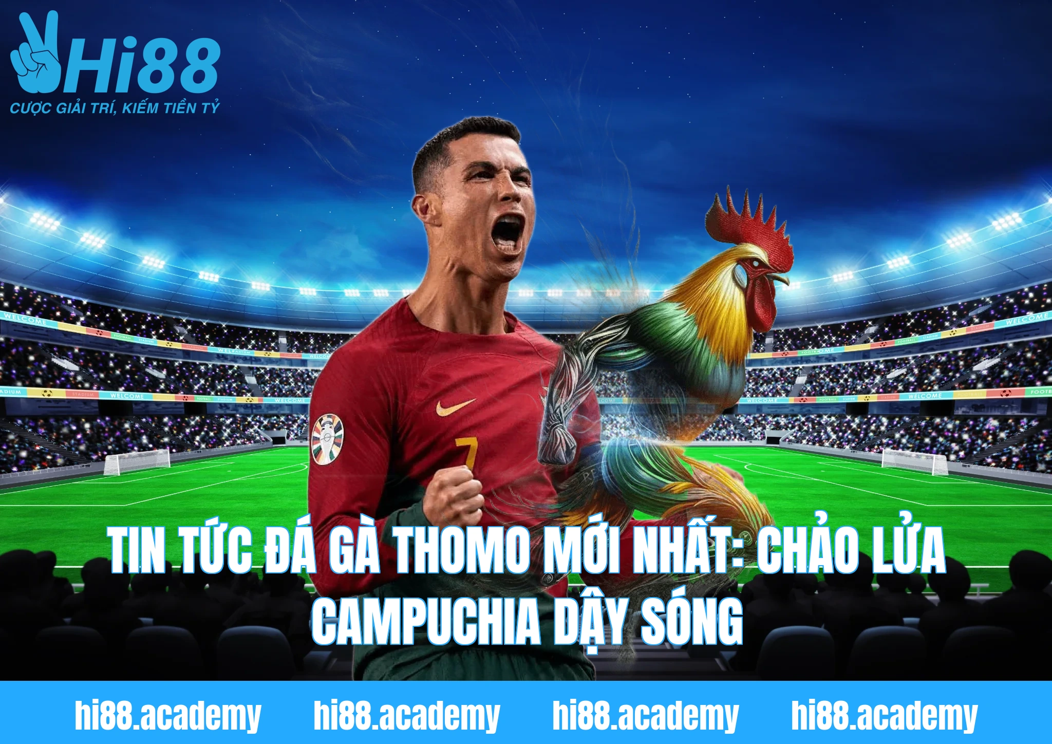 Tin tức đá gà Thomo mới nhất: Chảo lửa Campuchia dậy sóng